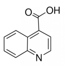 Хинолин-4-карбоновая кислота, 97%, Maybridge, 1г