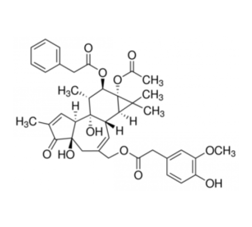 Форбол 12-фенилацетат 13-ацетат 20-гомованилат твердый Sigma P266