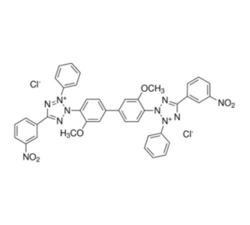 Хлорид 3-нитротетразолия синий 75% (AT) Sigma 09972