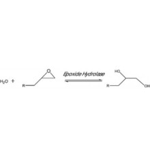 Эпоксидгидролаза из Rhodococcus rhodochrouslyophilized порошок, бежевый, 0,5 мкЕд / г Sigma 45299