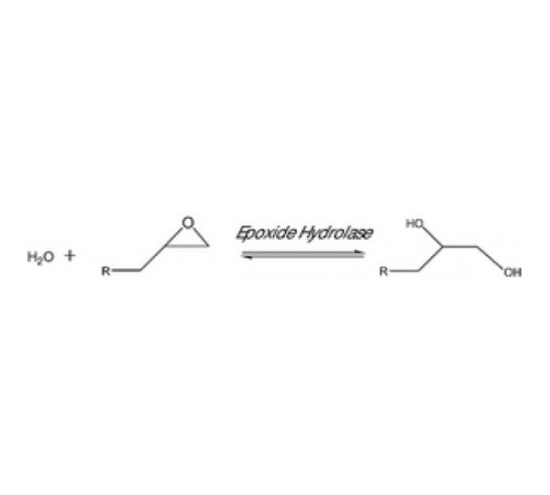 Эпоксидгидролаза из Rhodococcus rhodochrouslyophilized порошок, бежевый, 0,5 мкЕд / г Sigma 45299