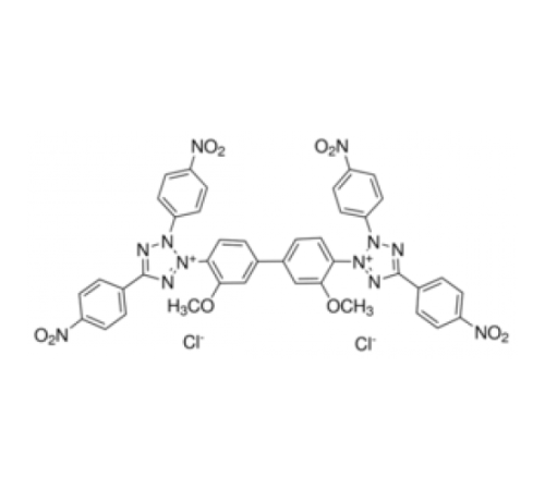 Тетранитросиний хлорид тетразолия 85% (AT) Sigma 87961
