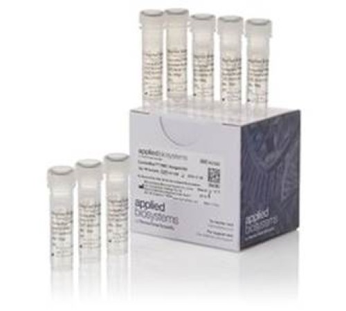 Набор для диагностики синдрома ломкой Х-хромосомы CarrierMax FMR1 Reagent Kit, 48 реакций, Thermo FS