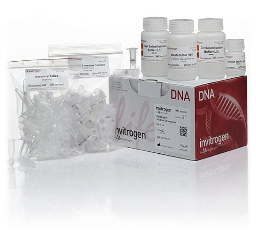 Набор PureLink Quick Gel Extraction Kit, Thermo FS Набор PureLink Quick Gel Extraction Kit, Thermo FS