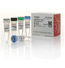 ДНК-полимераза Platinum Taq DNA Polymerase, 5 ед/мкл, Thermo FS